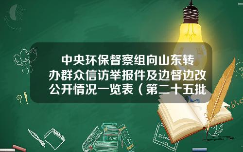 ​中央环保督察组向山东转办群众信访举报件及边督边改公开情况一览表（第二十五批）