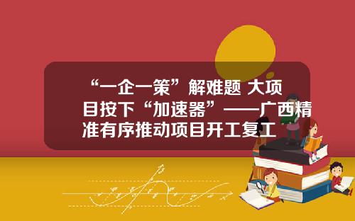 “一企一策”解难题 大项目按下“加速器”——广西精准有序推动项目开工复工