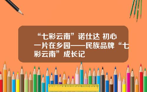 “七彩云南”诺仕达 初心一片在乡园——民族品牌“七彩云南”成长记