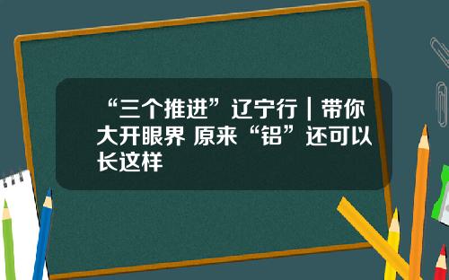 “三个推进”辽宁行｜带你大开眼界 原来“铝”还可以长这样