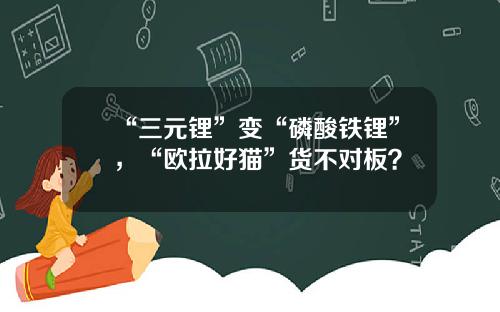 “三元锂”变“磷酸铁锂”，“欧拉好猫”货不对板？