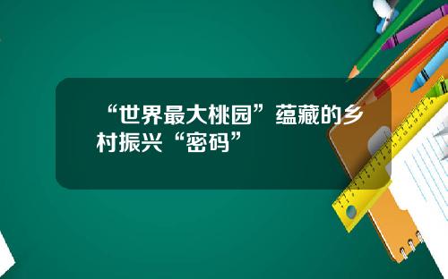 “世界最大桃园”蕴藏的乡村振兴“密码”