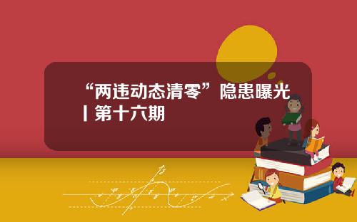 “两违动态清零”隐患曝光丨第十六期