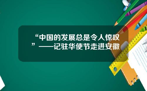 “中国的发展总是令人惊叹”——记驻华使节走进安徽