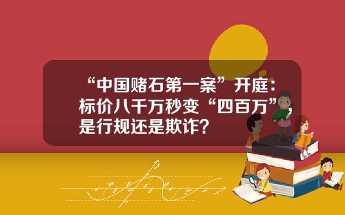 “中国赌石第一案”开庭：标价八千万秒变“四百万”，是行规还是欺诈？
