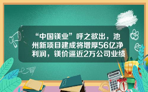 “中国镁业”呼之欲出，池州新项目建成将增厚56亿净利润，镁价逼近2万公司业绩迎拐点