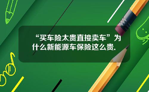 “买车险太贵直接卖车”为什么新能源车保险这么贵.