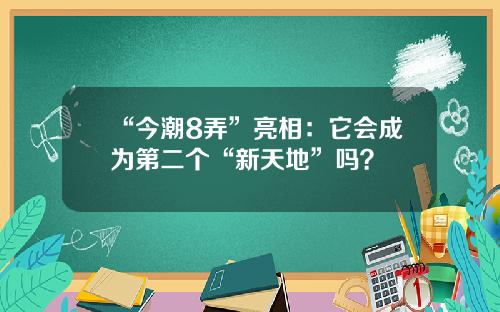 “今潮8弄”亮相：它会成为第二个“新天地”吗？