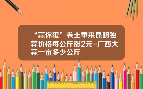 “蒜你狠”卷土重来昆明独蒜价格每公斤涨2元-广西大蒜一亩多少公斤
