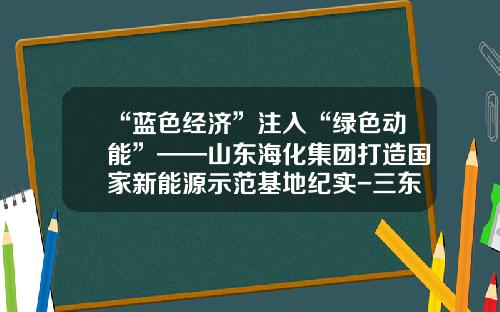 “蓝色经济”注入“绿色动能”——山东海化集团打造国家新能源示范基地纪实-三东海化煤业化工有限公司