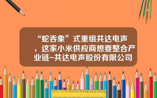 “蛇吞象”式重组共达电声，这家小米供应商想要整合产业链-共达电声股份有限公司重组