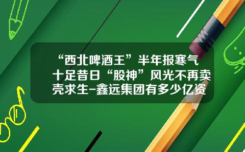“西北啤酒王”半年报寒气十足昔日“股神”风光不再卖壳求生-鑫远集团有多少亿资产