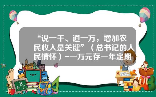 “说一千、道一万，增加农民收入是关键”（总书记的人民情怀）-一万元存一年定期利息是多少2016