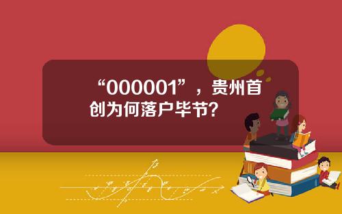 “000001”，贵州首创为何落户毕节？