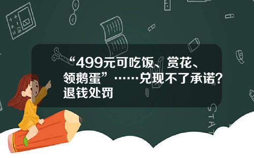 “499元可吃饭、赏花、领鹅蛋”……兑现不了承诺？退钱处罚