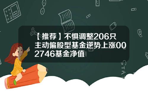 【推荐】不惧调整206只主动偏股型基金逆势上涨002746基金净值