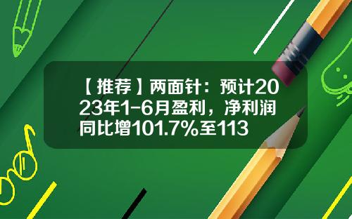 【推荐】两面针：预计2023年1-6月盈利，净利润同比增101.7%至113.57%-金融工厂收益是多少