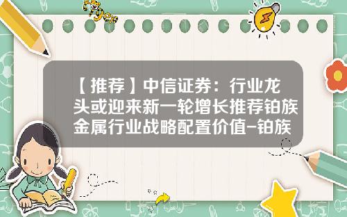【推荐】中信证券：行业龙头或迎来新一轮增长推荐铂族金属行业战略配置价值-铂族金属及上市公司简介