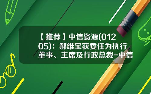 【推荐】中信资源(01205)：郝维宝获委任为执行董事、主席及行政总裁-中信投资公司郝维宝
