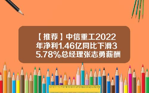 【推荐】中信重工2022年净利1.46亿同比下滑35.78%总经理张志勇薪酬182.45万-中信重工发行价是多少