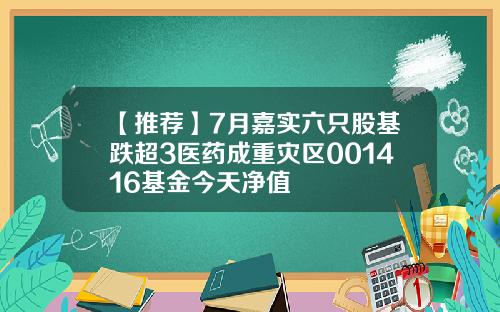 【推荐】7月嘉实六只股基跌超3医药成重灾区001416基金今天净值