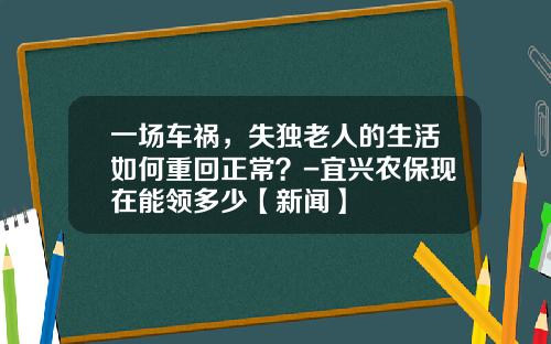 一场车祸，失独老人的生活如何重回正常？-宜兴农保现在能领多少【新闻】