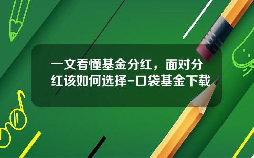 一文看懂基金分红，面对分红该如何选择-口袋基金下载