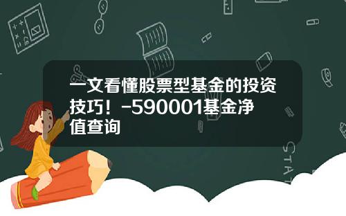 一文看懂股票型基金的投资技巧！-590001基金净值查询