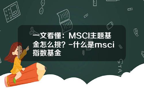 一文看懂：MSCI主题基金怎么挑？-什么是msci指数基金