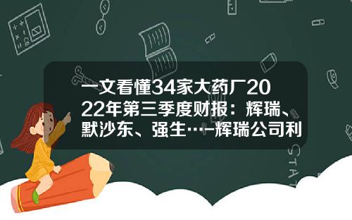 一文看懂34家大药厂2022年第三季度财报：辉瑞、默沙东、强生…-辉瑞公司利润