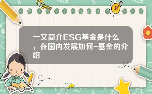 一文简介ESG基金是什么，在国内发展如何-基金的介绍