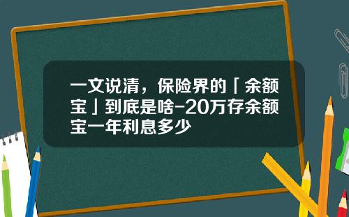 一文说清，保险界的「余额宝」到底是啥-20万存余额宝一年利息多少