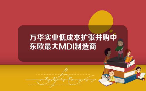 万华实业低成本扩张并购中东欧最大MDI制造商