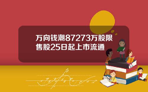 万向钱潮87273万股限售股25日起上市流通