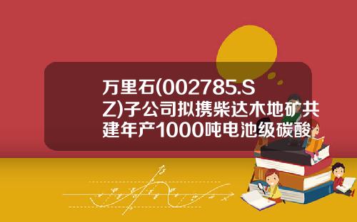 万里石(002785.SZ)子公司拟携柴达木地矿共建年产1000吨电池级碳酸锂生产线-柴达木公司要上市时间