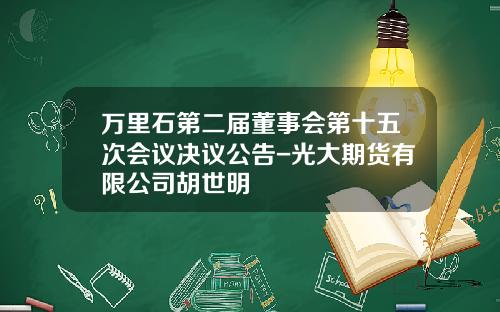 万里石第二届董事会第十五次会议决议公告-光大期货有限公司胡世明