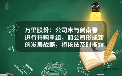 万里股份：公司未与剑南春进行并购重组，如公司形成新的发展战略，将依法及时披露-万里控股集团股份有限公司