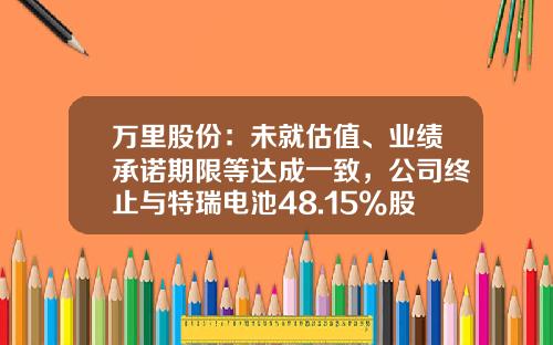 万里股份：未就估值、业绩承诺期限等达成一致，公司终止与特瑞电池48.15%股权及配套募资重组事项-浙江万里控股集团股份有限公司