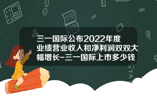 三一国际公布2022年度业绩营业收入和净利润双双大幅增长-三一国际上市多少钱