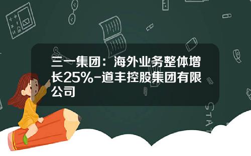 三一集团：海外业务整体增长25%-道丰控股集团有限公司