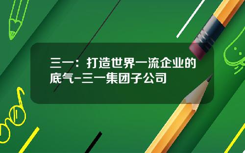 三一：打造世界一流企业的底气-三一集团子公司