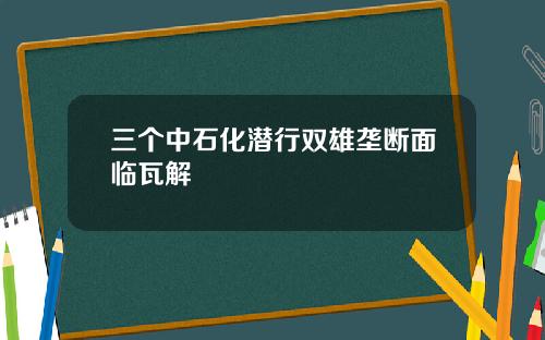 三个中石化潜行双雄垄断面临瓦解