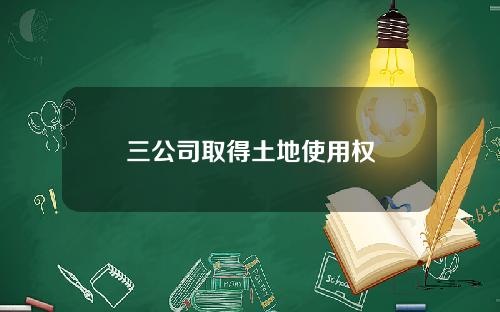 三公司取得土地使用权