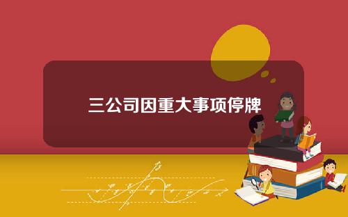 三公司因重大事项停牌