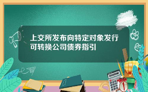 上交所发布向特定对象发行可转换公司债券指引