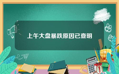 上午大盘暴跌原因已查明