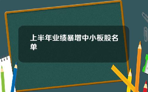 上半年业绩暴增中小板股名单