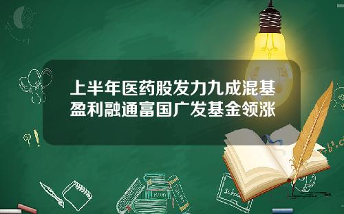 上半年医药股发力九成混基盈利融通富国广发基金领涨