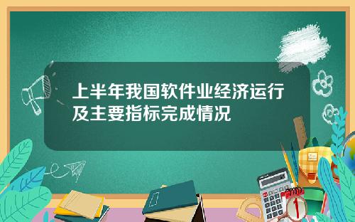 上半年我国软件业经济运行及主要指标完成情况