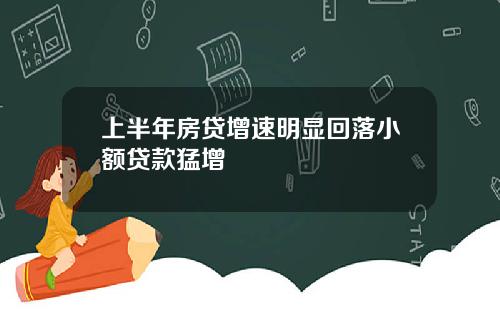 上半年房贷增速明显回落小额贷款猛增
